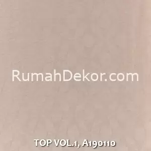 TOP VOL.1, A190110