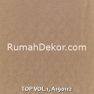 TOP VOL.1, A190112