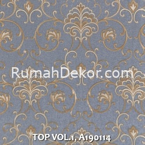 TOP VOL.1, A190114