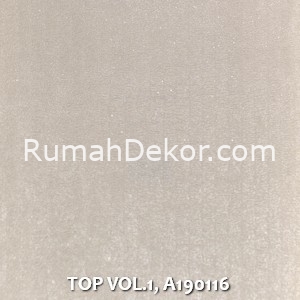 TOP VOL.1, A190116