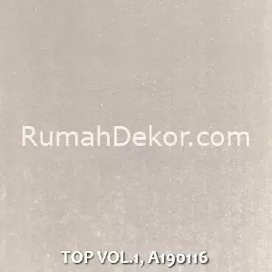 TOP VOL.1, A190116