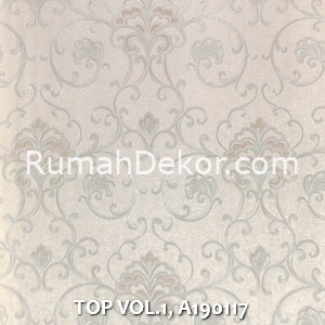 TOP VOL.1, A190117
