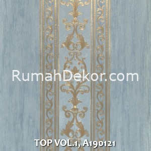 TOP VOL.1, A190121