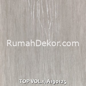 TOP VOL.1, A190125