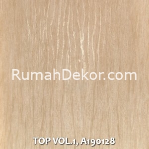 TOP VOL.1, A190128