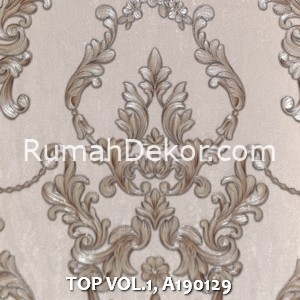 TOP VOL.1, A190129