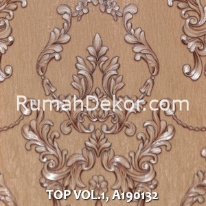 TOP VOL.1, A190132
