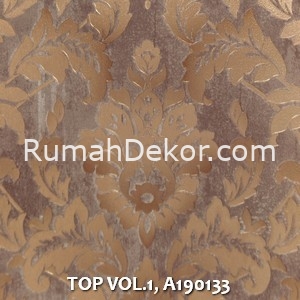 TOP VOL.1, A190133