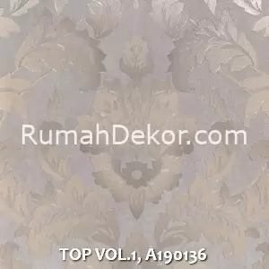 TOP VOL.1, A190136