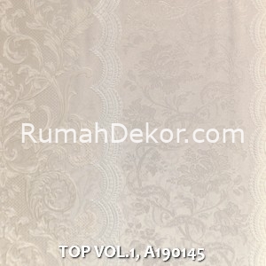 TOP VOL.1, A190145