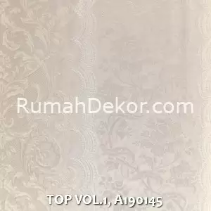 TOP VOL.1, A190145