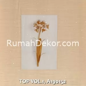 TOP VOL.1, A190152