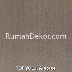 TOP VOL.1, A190154
