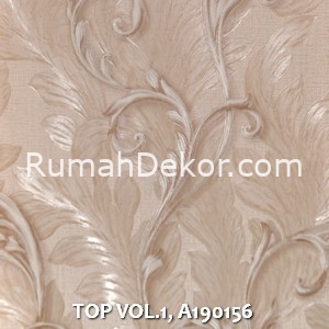 TOP VOL.1, A190156