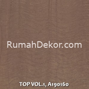 TOP VOL.1, A190160