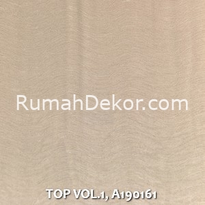 TOP VOL.1, A190161