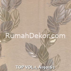 TOP VOL.1, A190162