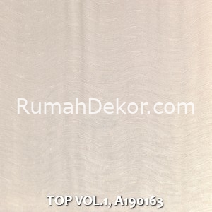 TOP VOL.1, A190163