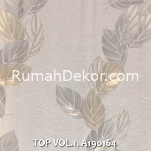 TOP VOL.1, A190164