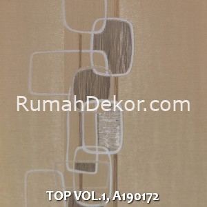 TOP VOL.1, A190172