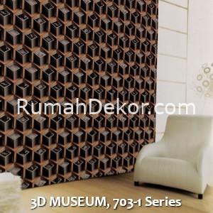 3D MUSEUM, 703-1 Series