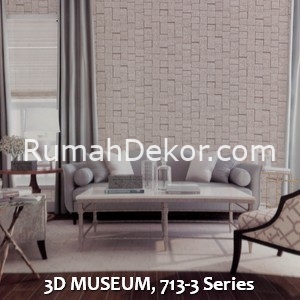 3D MUSEUM, 713-3 Series