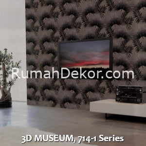 3D MUSEUM, 714-1 Series