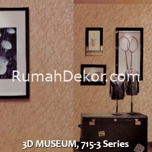 3D MUSEUM, 715-3 Series