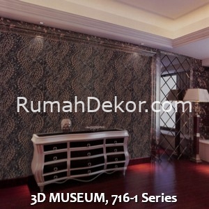 3D MUSEUM, 716-1 Series