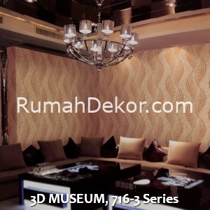 3D MUSEUM, 716-3 Series