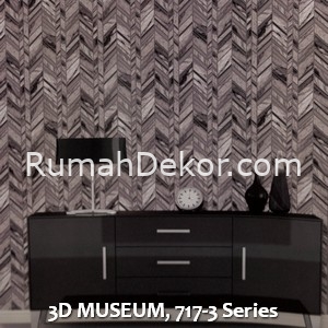 3D MUSEUM, 717-3 Series