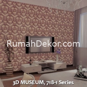 3D MUSEUM, 718-1 Series