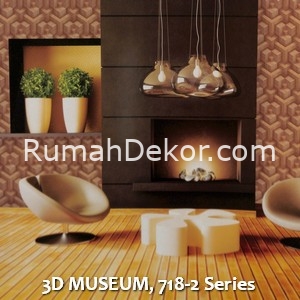 3D MUSEUM, 718-2 Series