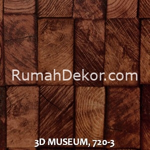 3D MUSEUM, 720-3