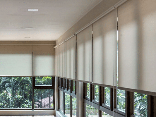 Interior Blinds
